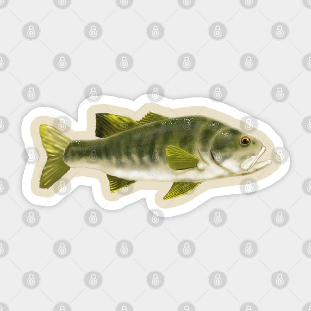 Largemouth Bass Sticker by Deisgns by A B Clark 